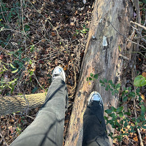 Meet your Posher, Journee